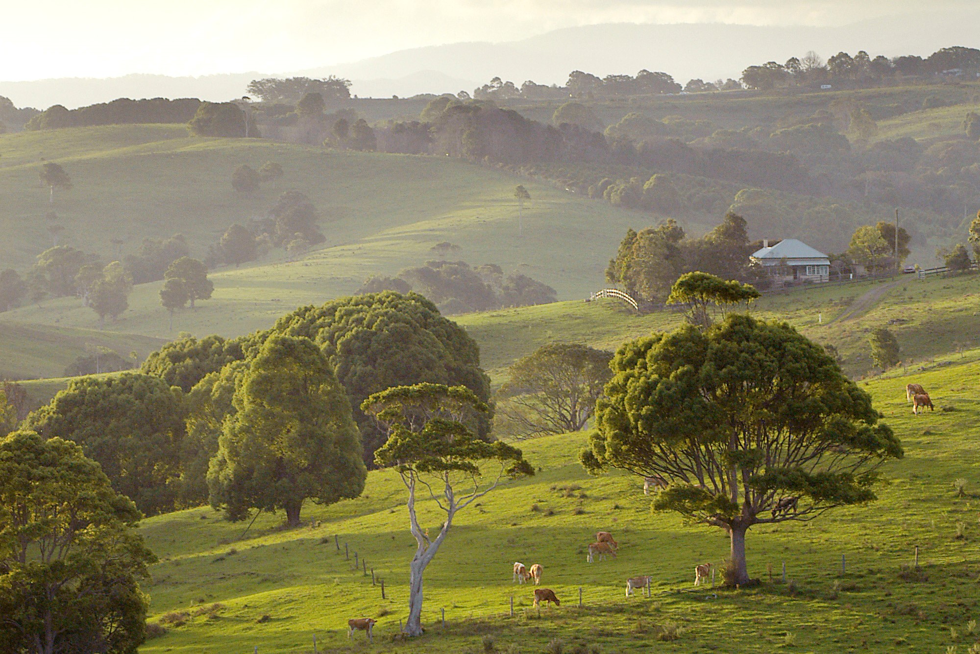 Northern Rivers